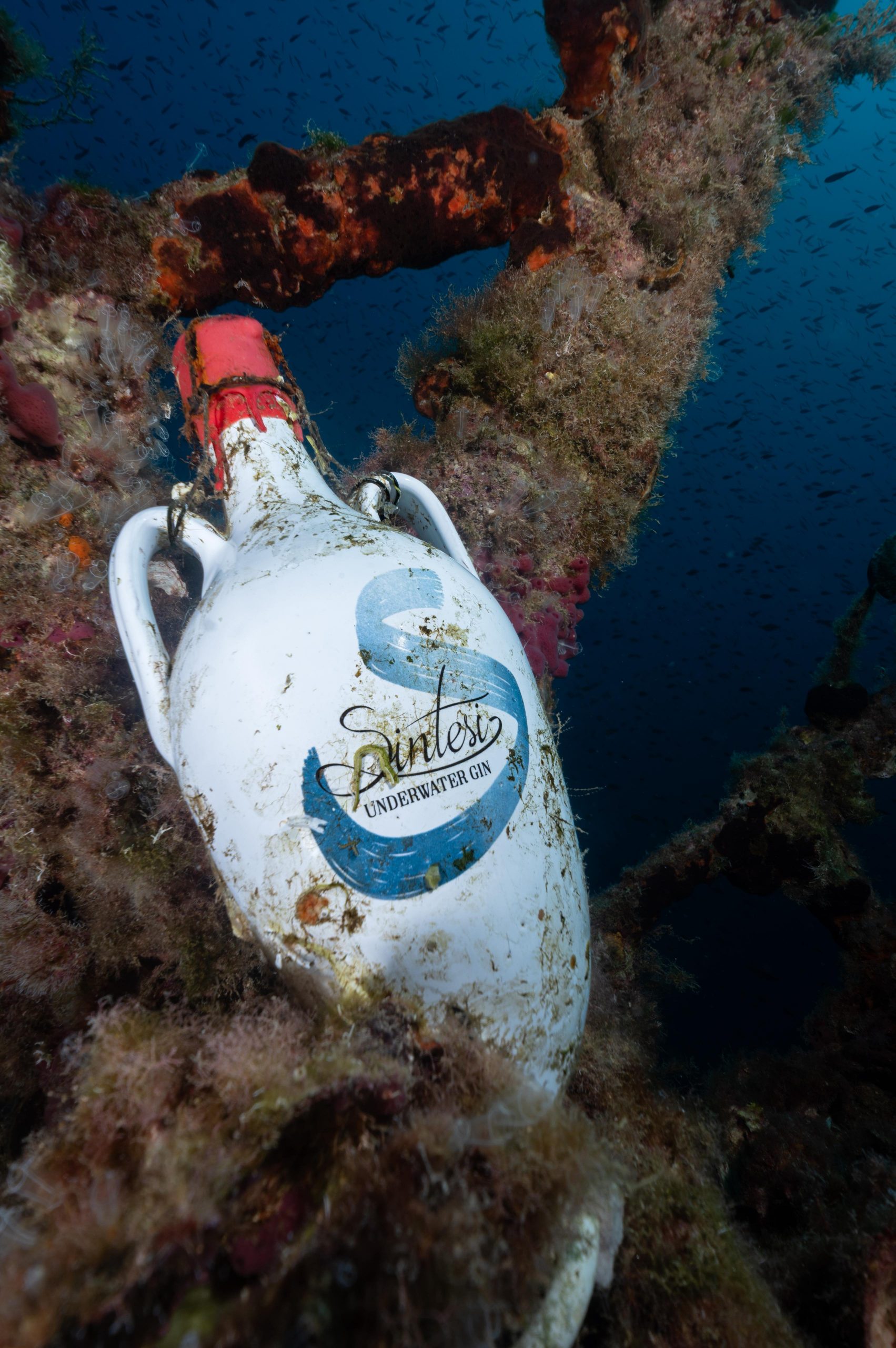 Underwater Sintesi Gin - Limited edition